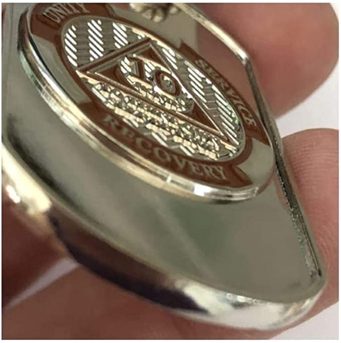 11-Pack Monthly Dog Tags with Matching AA Chips: Includes Months 1-11