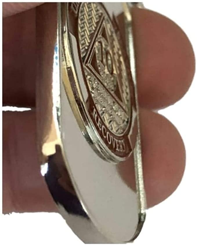 11-Pack Monthly Dog Tags with Matching AA Chips: Includes Months 1-11