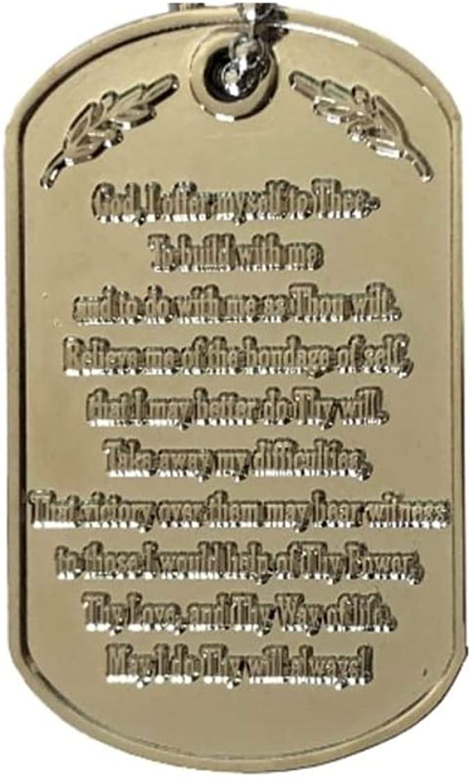 11-Pack Monthly Dog Tags with Matching AA Chips: Includes Months 1-11