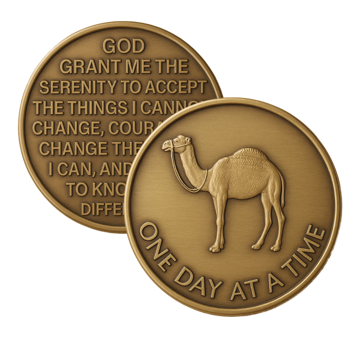 One Day At a Time Camel with Serenity Prayer