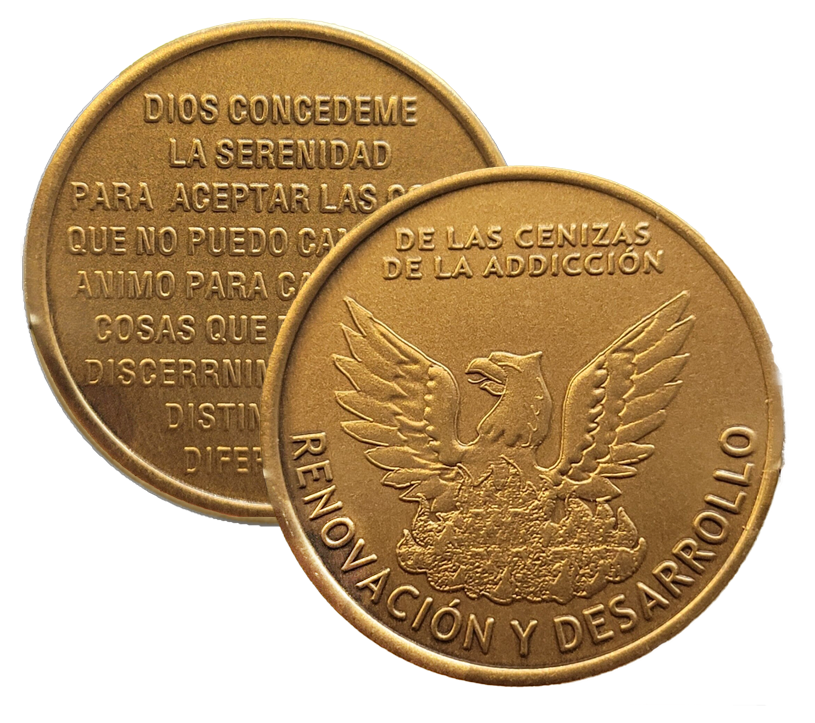 Renovacion Y Desarrollo