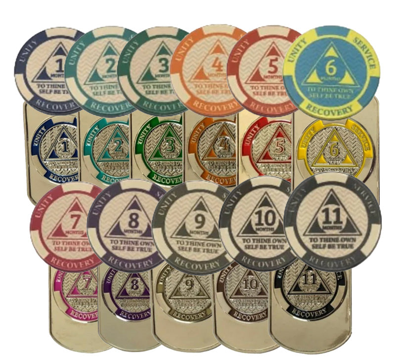 11-Pack Monthly Dog Tags with Matching AA Chips: Includes Months 1-11