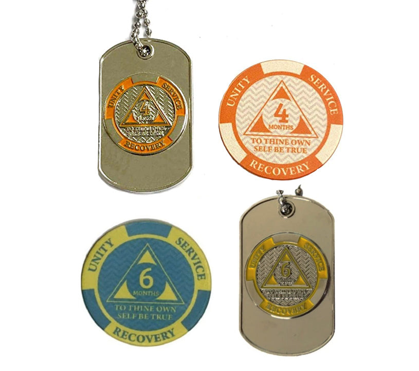 11-Pack Monthly Dog Tags with Matching AA Chips: Includes Months 1-11