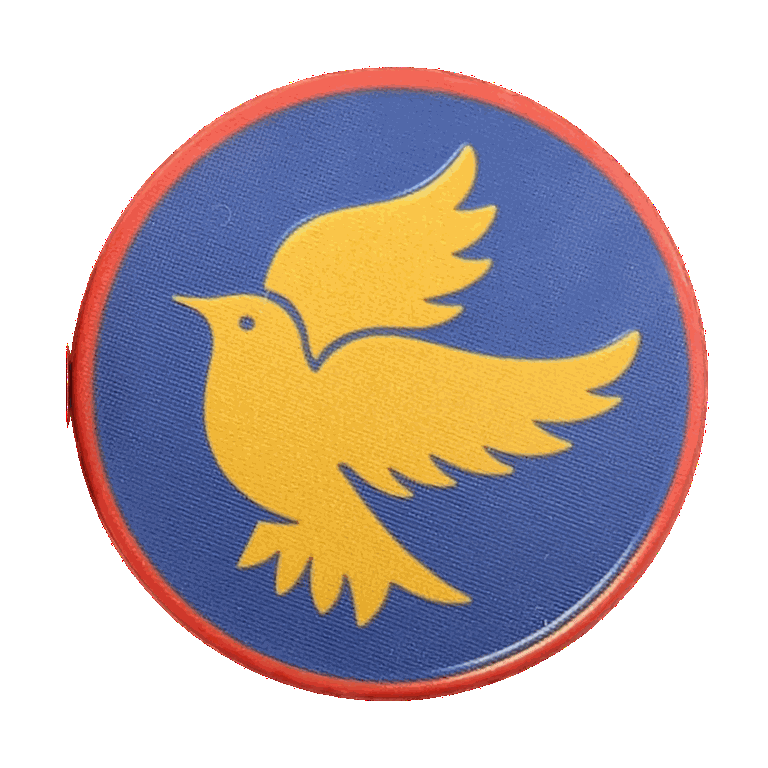 Kindness Recovery Chip – “Kindness: the language the deaf can hear and the blind can see.” Inspirational Mark Twain Quote Token