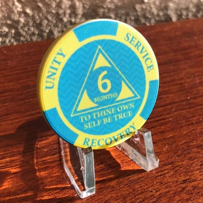 11-Pack Monthly Dog Tags with Matching AA Chips: Includes Months 1-11