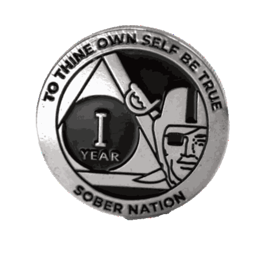 Pirate Raider AA Coin 1-50yrs Sobriety Chip