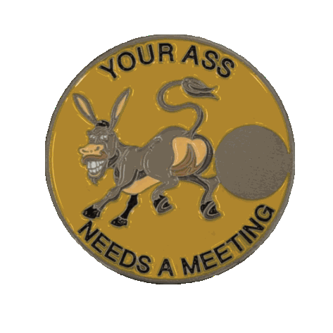 Donkey Sobriety Coin – "Your Ass Needs a Meeting" | Engraved Year Front + Choice of Quote or Custom Back | AA NA Recovery Gift, Sober Token