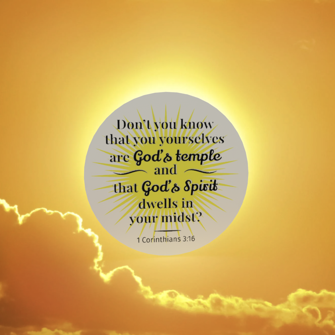 (25) Positively Powerful AA Affirmation Chips