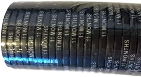 AA Monthly Sobriety Dog Tag with Chip