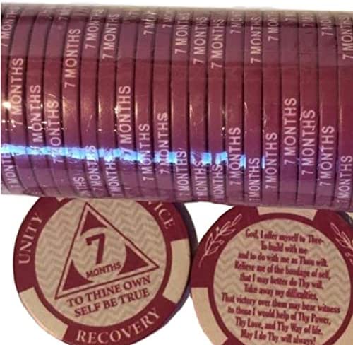 AA Monthly Sobriety Dog Tag with Chip