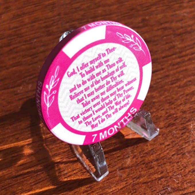 AA Monthly Sobriety Dog Tag with Chip