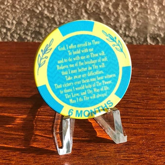 AA Monthly Sobriety Dog Tag with Chip