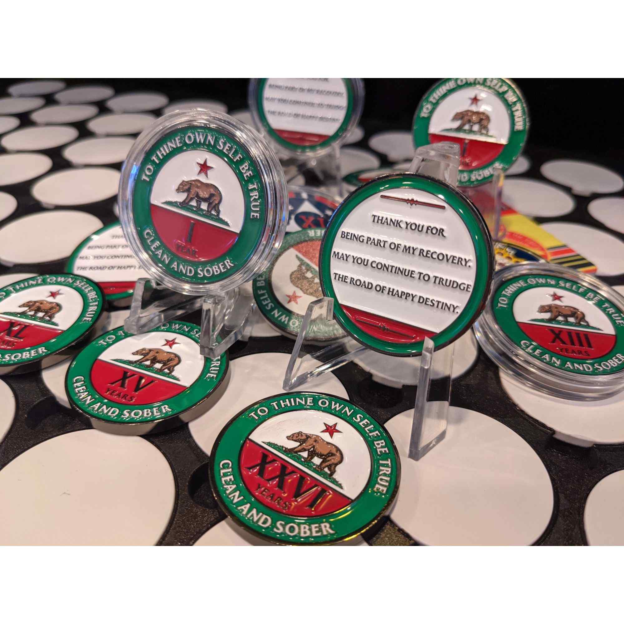 California AA Coin 1-50yrs Sobriety Chip