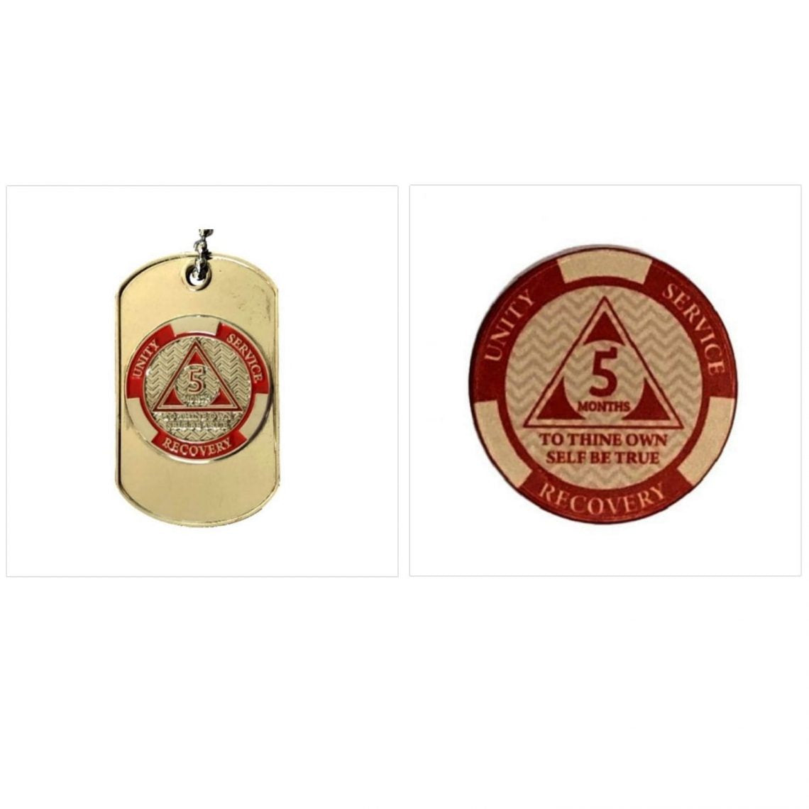 AA Monthly Sobriety Dog Tag with Chip