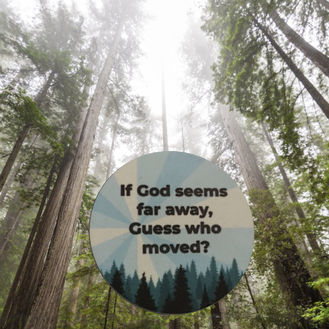 (25) Positively Powerful AA Affirmation Chips