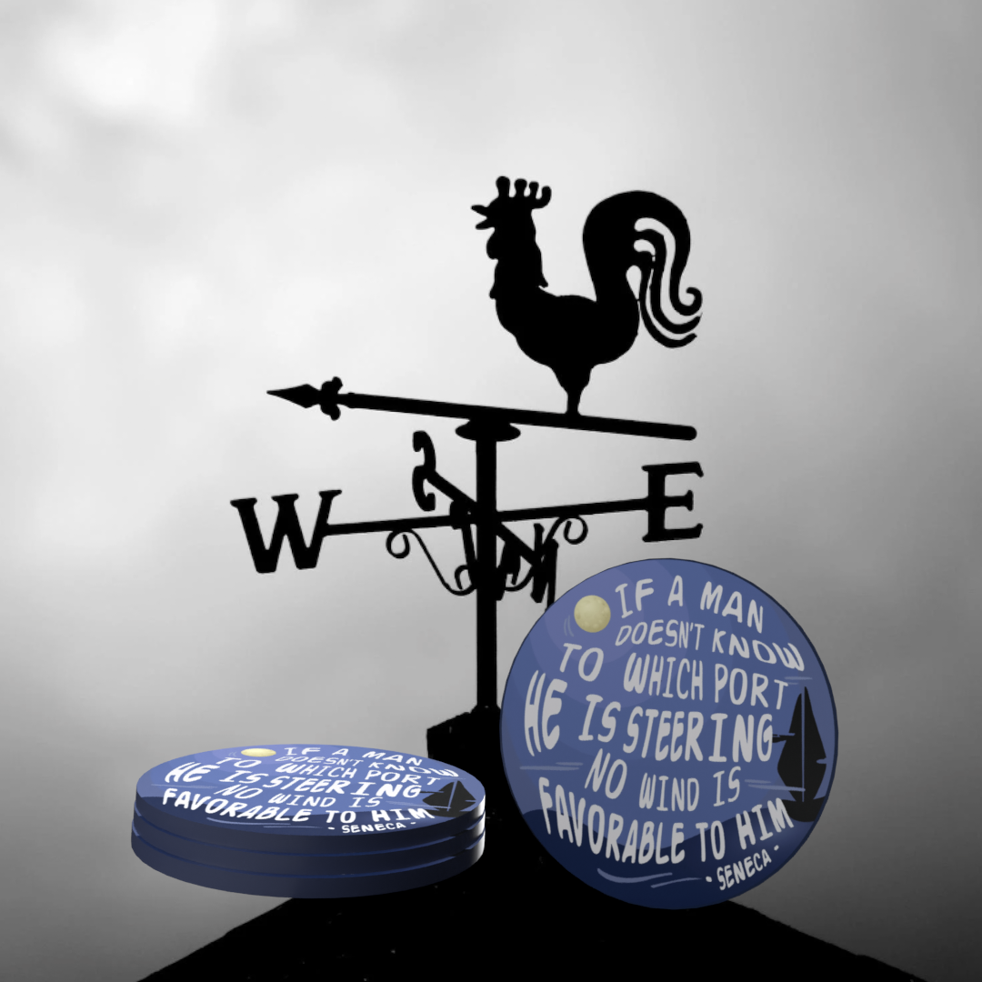 (25) Positively Powerful AA Affirmation Chips