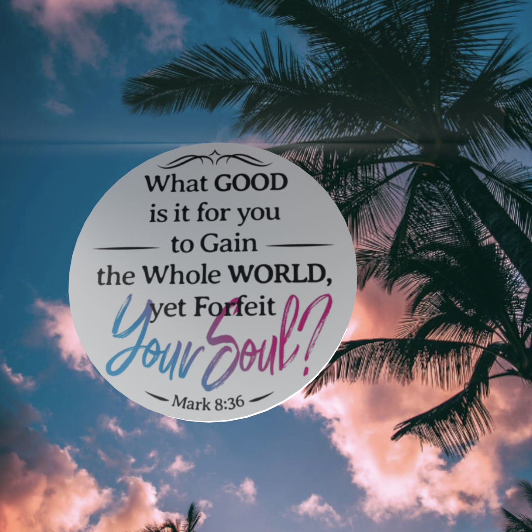 (25) Positively Powerful AA Affirmation Chips