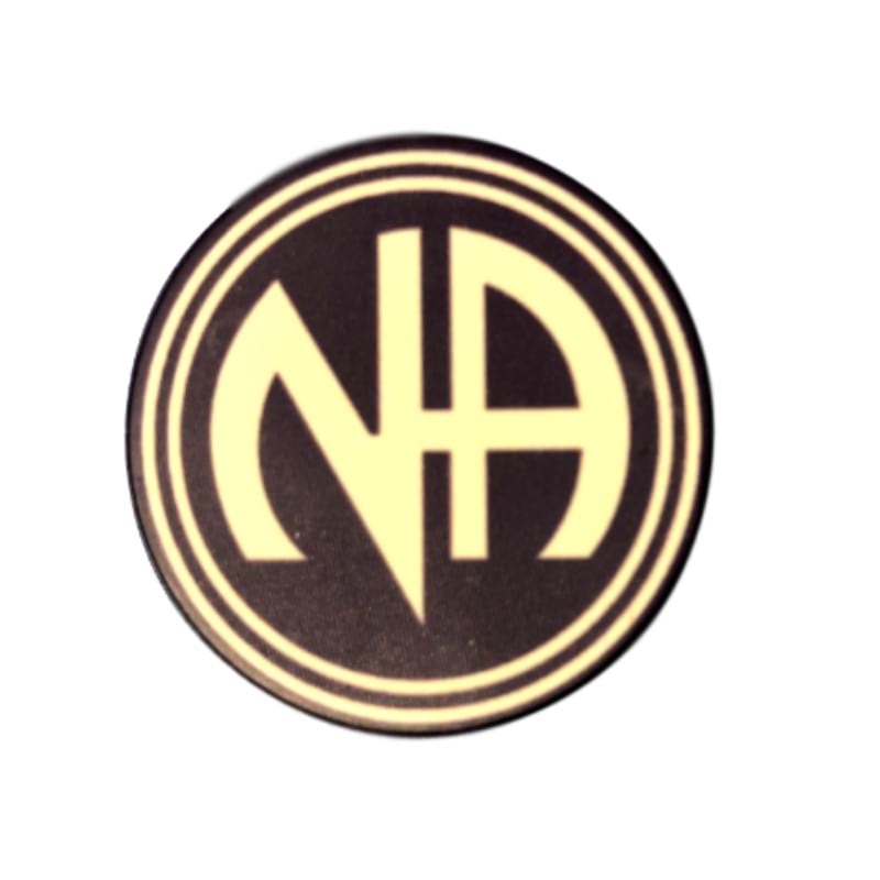 6 Month Narcotics Anonymous Sobriety Chip