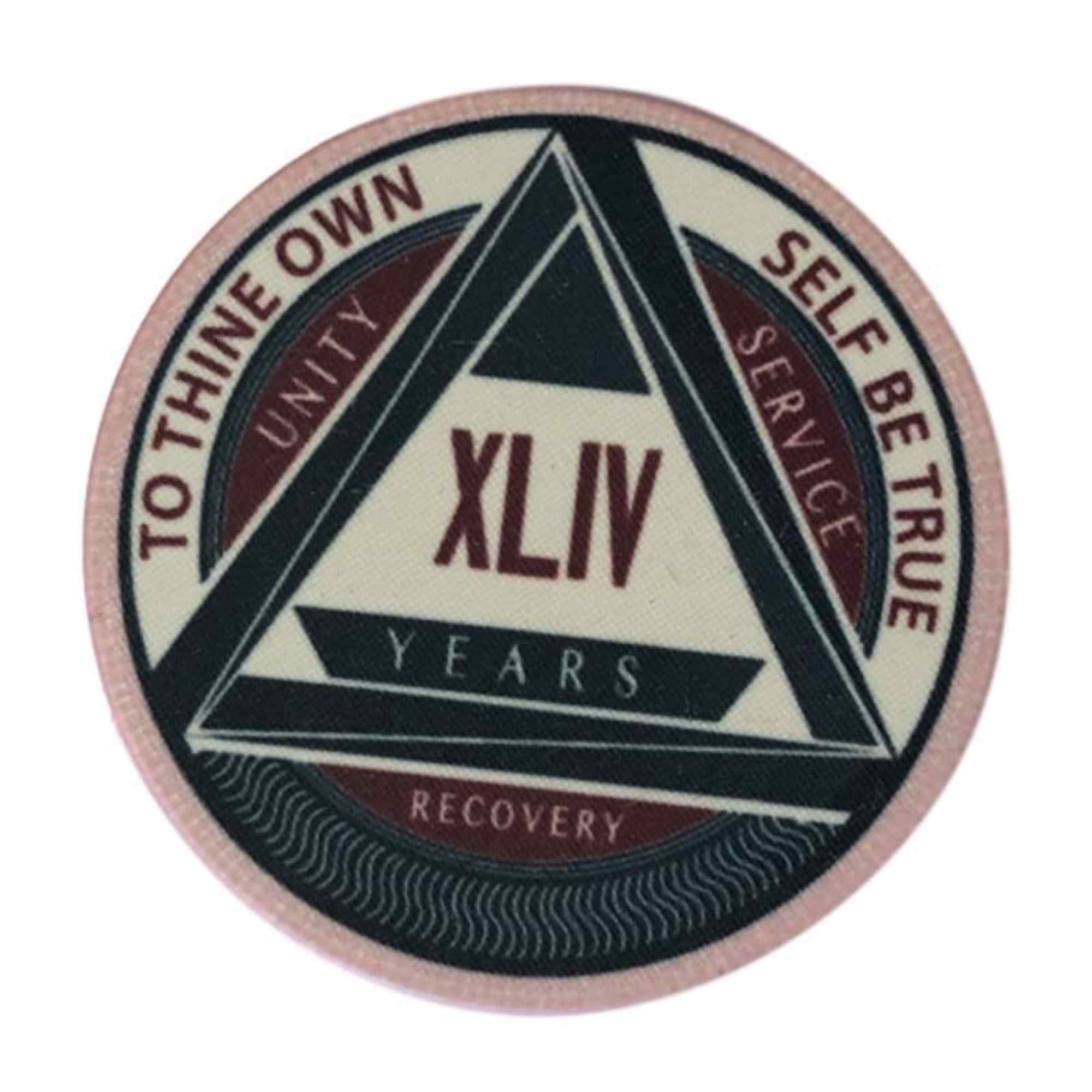 AA Yearly Poker Chip PINK