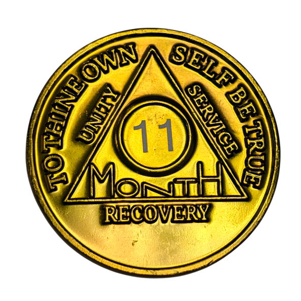 Monthly Aluminum AA Coins (24hr-11 Month)