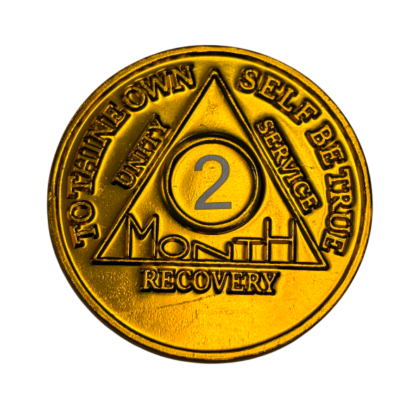 Monthly Aluminum AA Coins (24hr-11 Month)