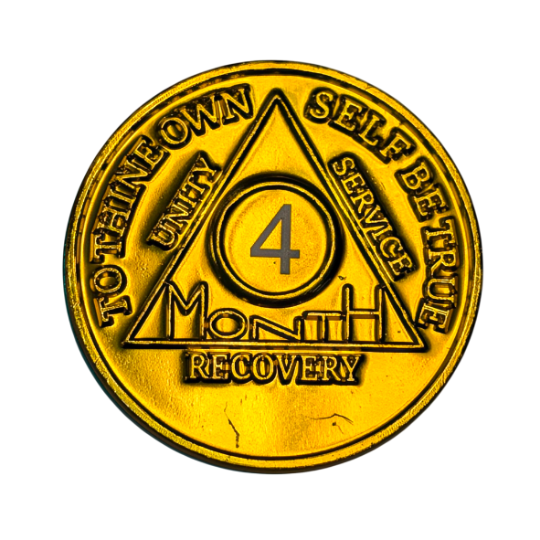 Monthly Aluminum AA Coins (24hr-11 Month)