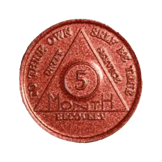 Monthly Aluminum AA Coins (24hr-11 Month)