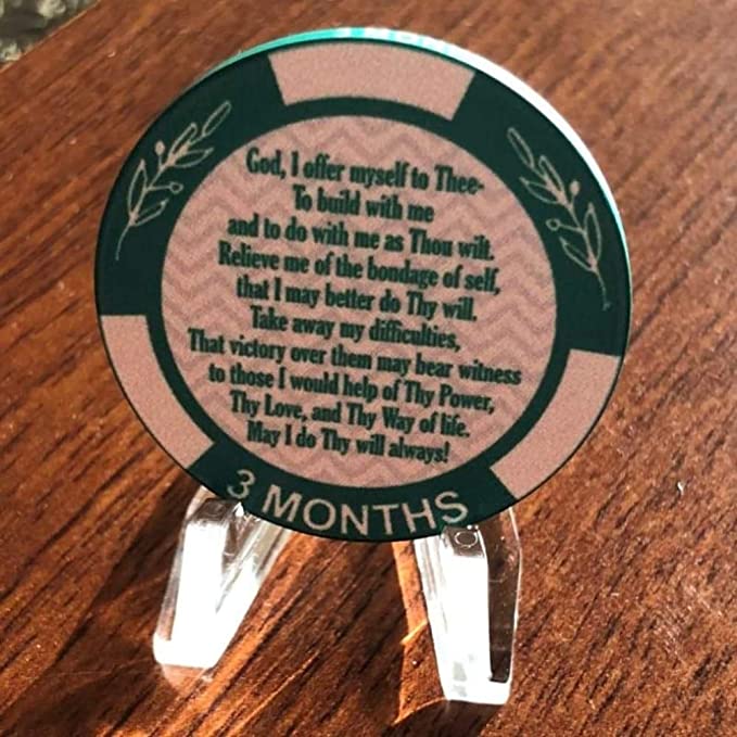 11-Pack Monthly Dog Tags with Matching AA Chips: Includes Months 1-11