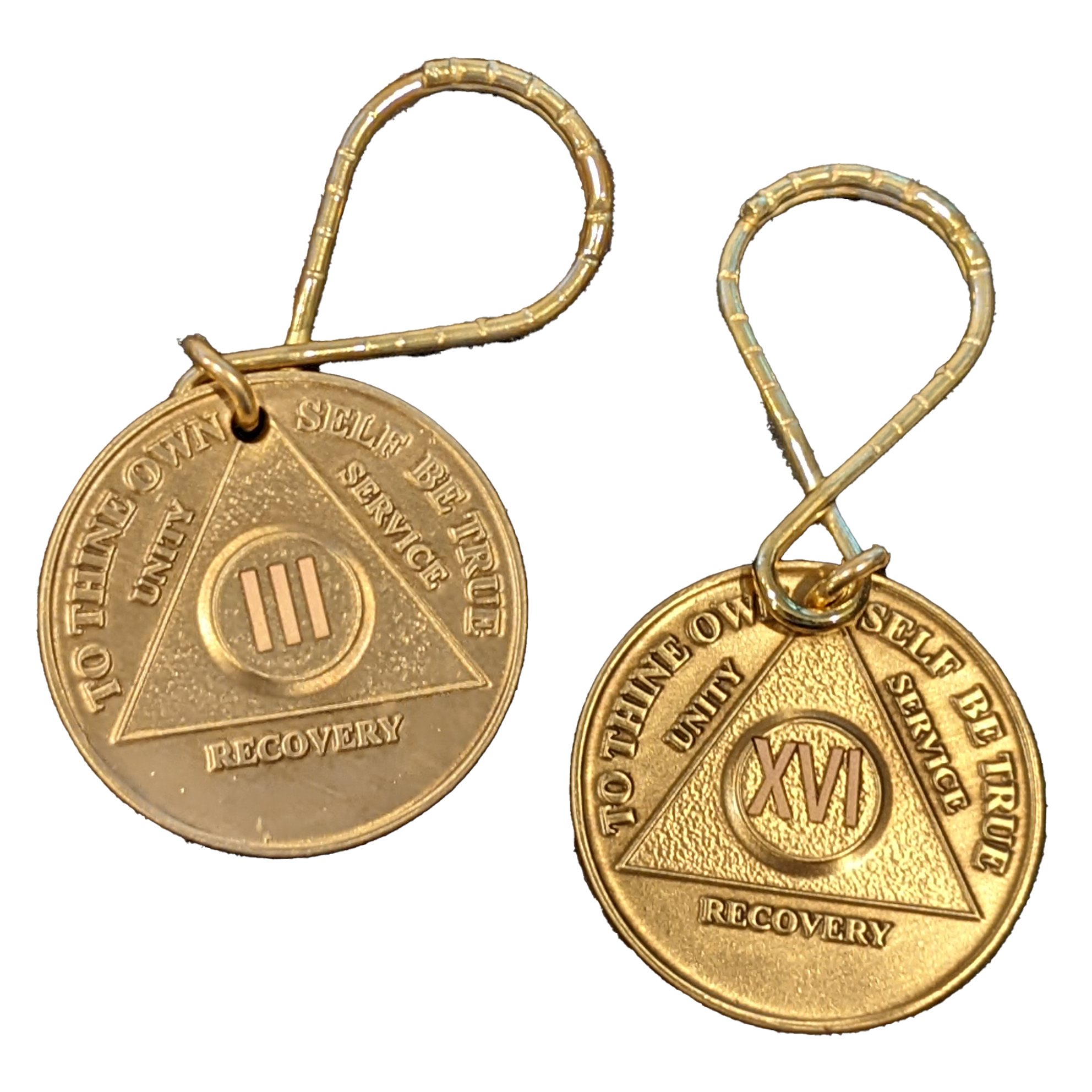 Yearly AA Sobriety Coin Keychain 24hr-11months