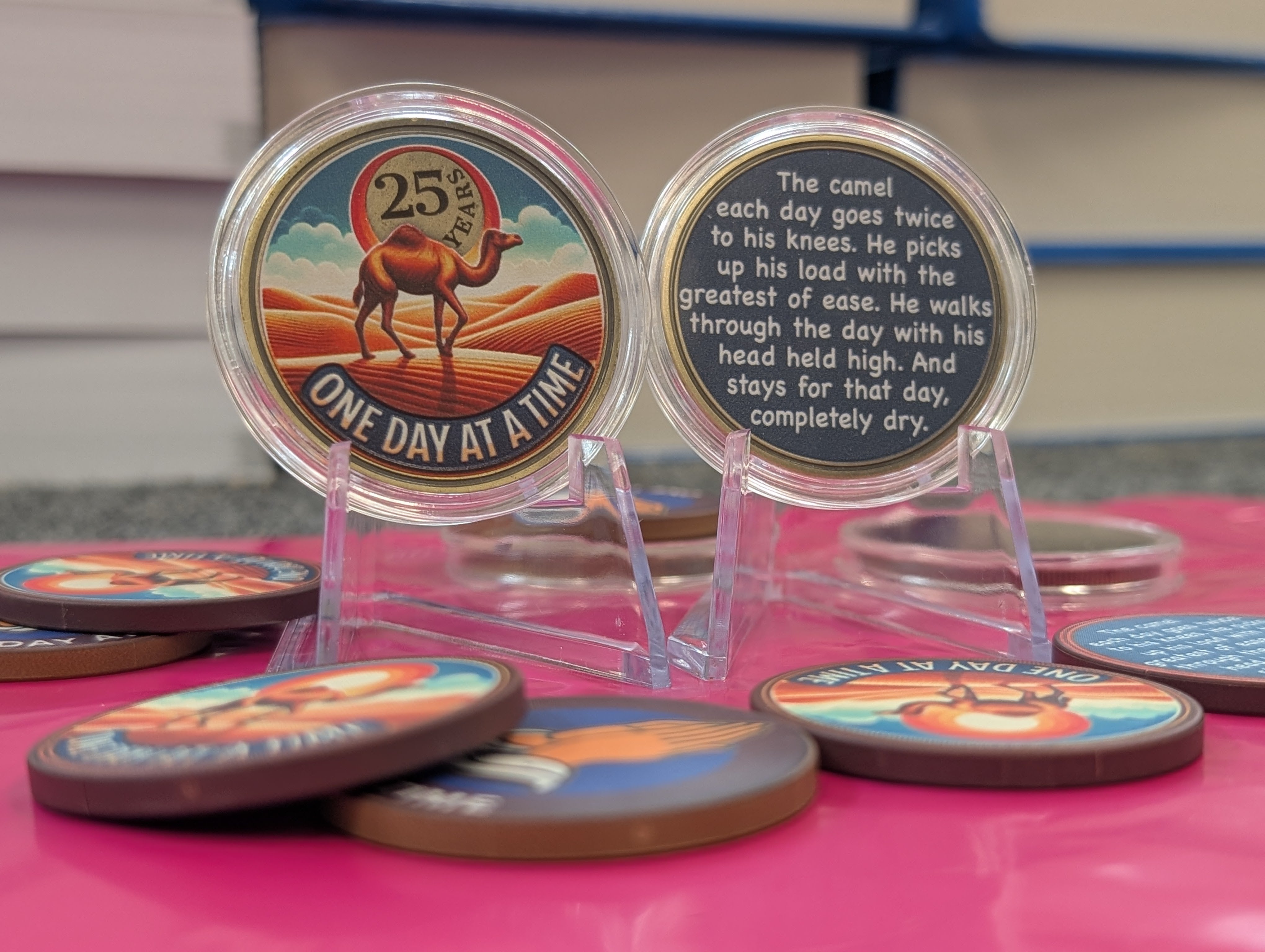 One Day at a Time Camel Poem AA Sobriety Coin