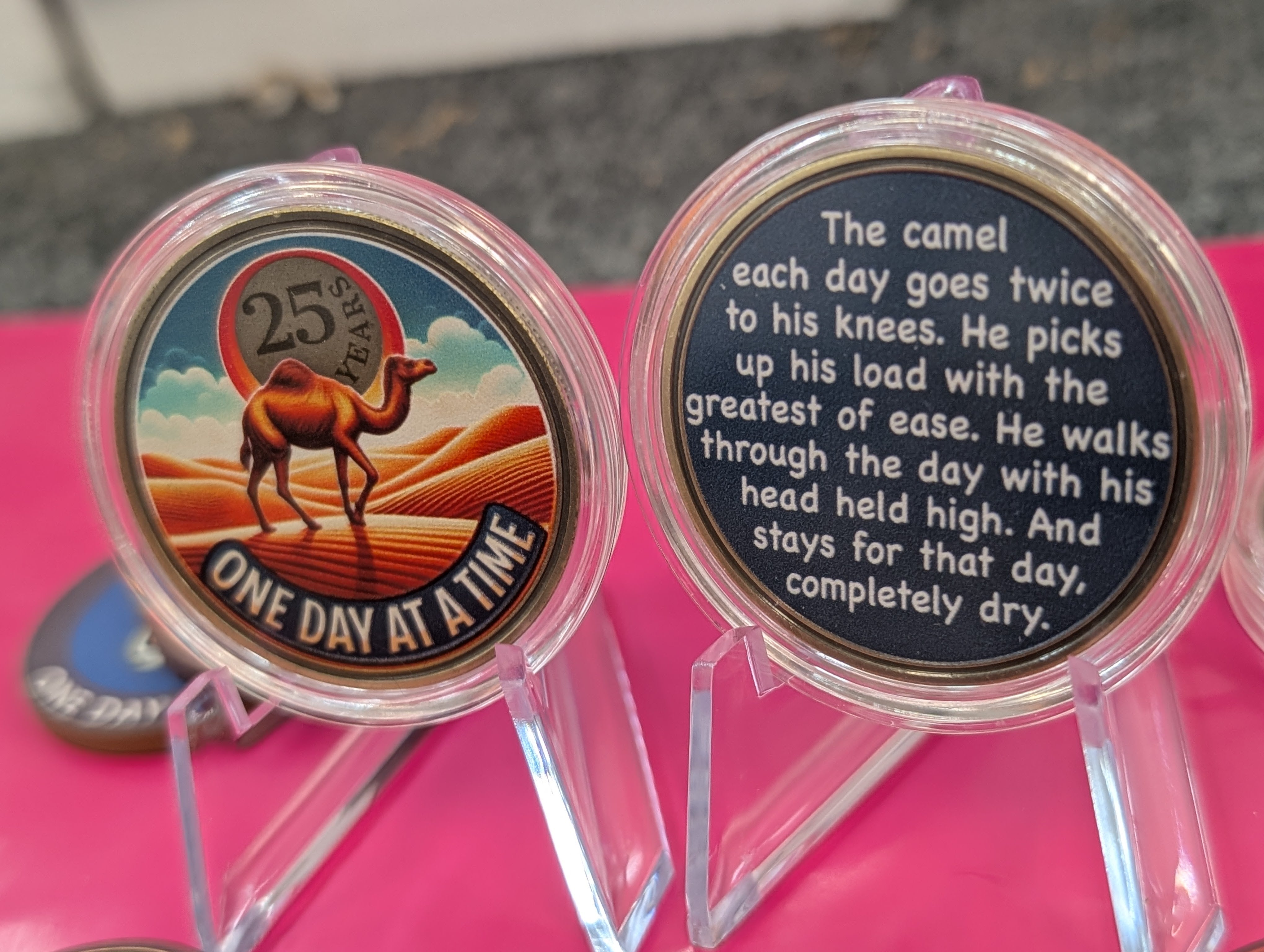 One Day at a Time Camel Poem AA Sobriety Coin