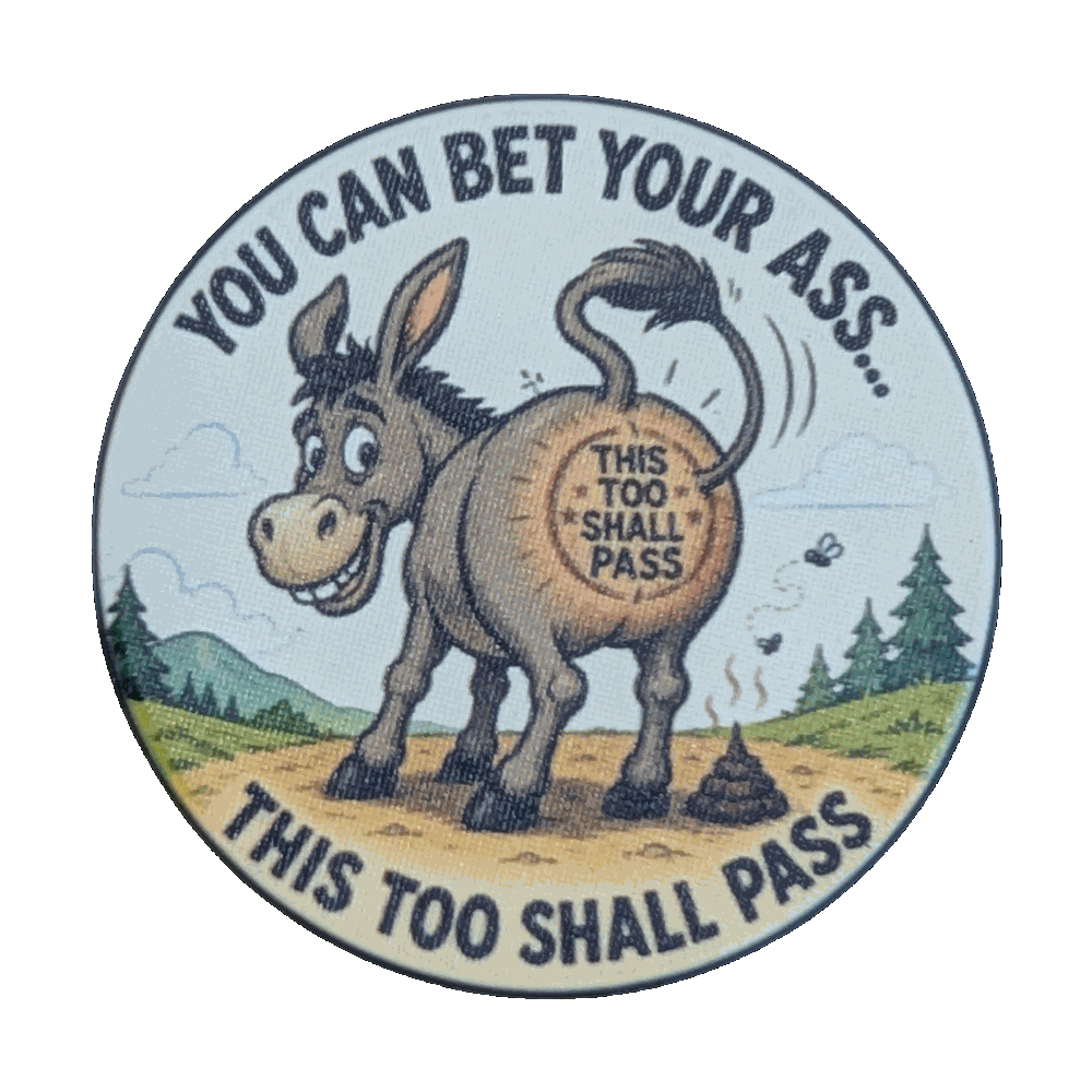 You Can Bet Your Ass... This Too Shall Pass Recovery Chip