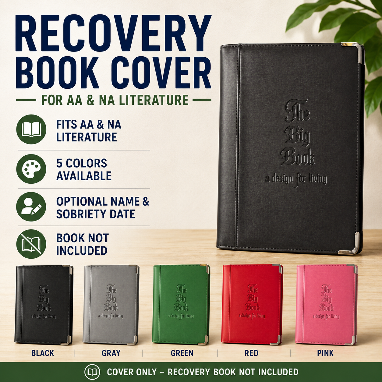 Recovery Book Cover for AA &amp; NA Literature