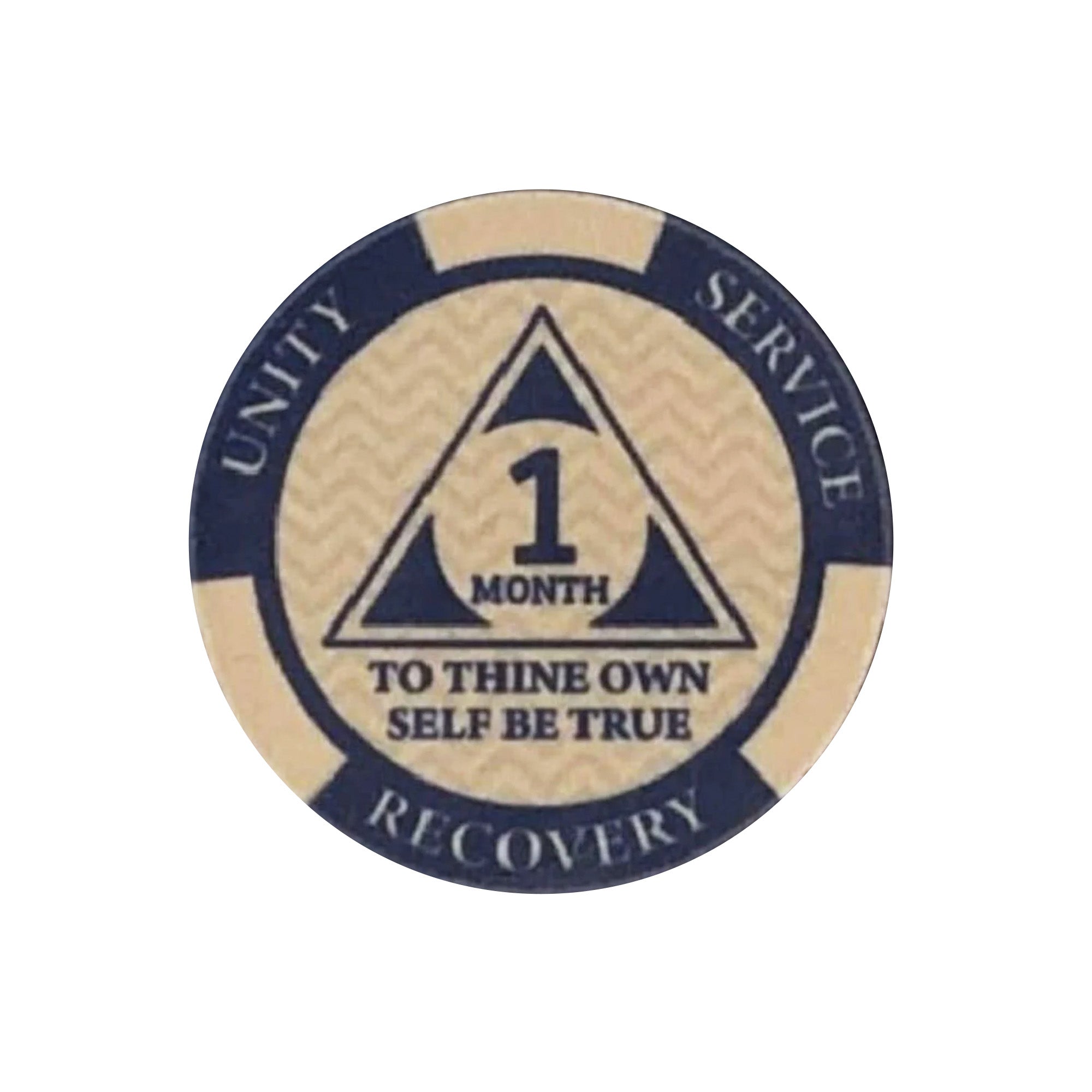 12-Pack AA Monthly Poker Chips: Celebrate Sobriety from 24 Hours to 11 Months