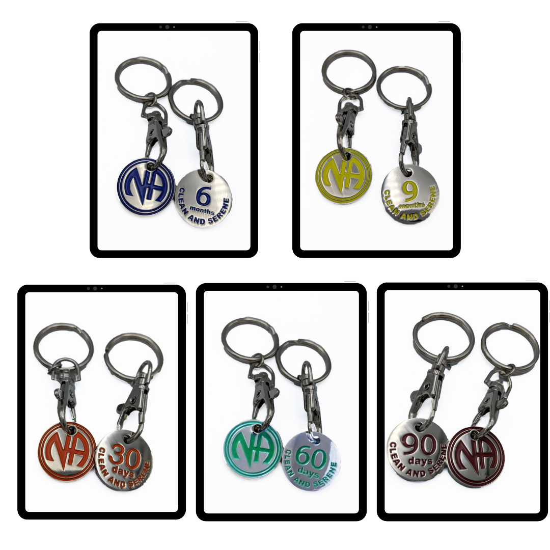 NA Monthly Keychains all 5 included together MY RECOVERY STORE