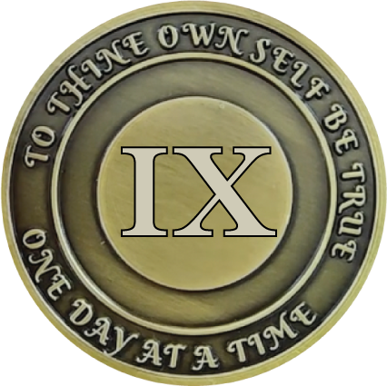 No Matter What Club AA Medallion 1-60yrs Sobriety Chip W/ Gift Box