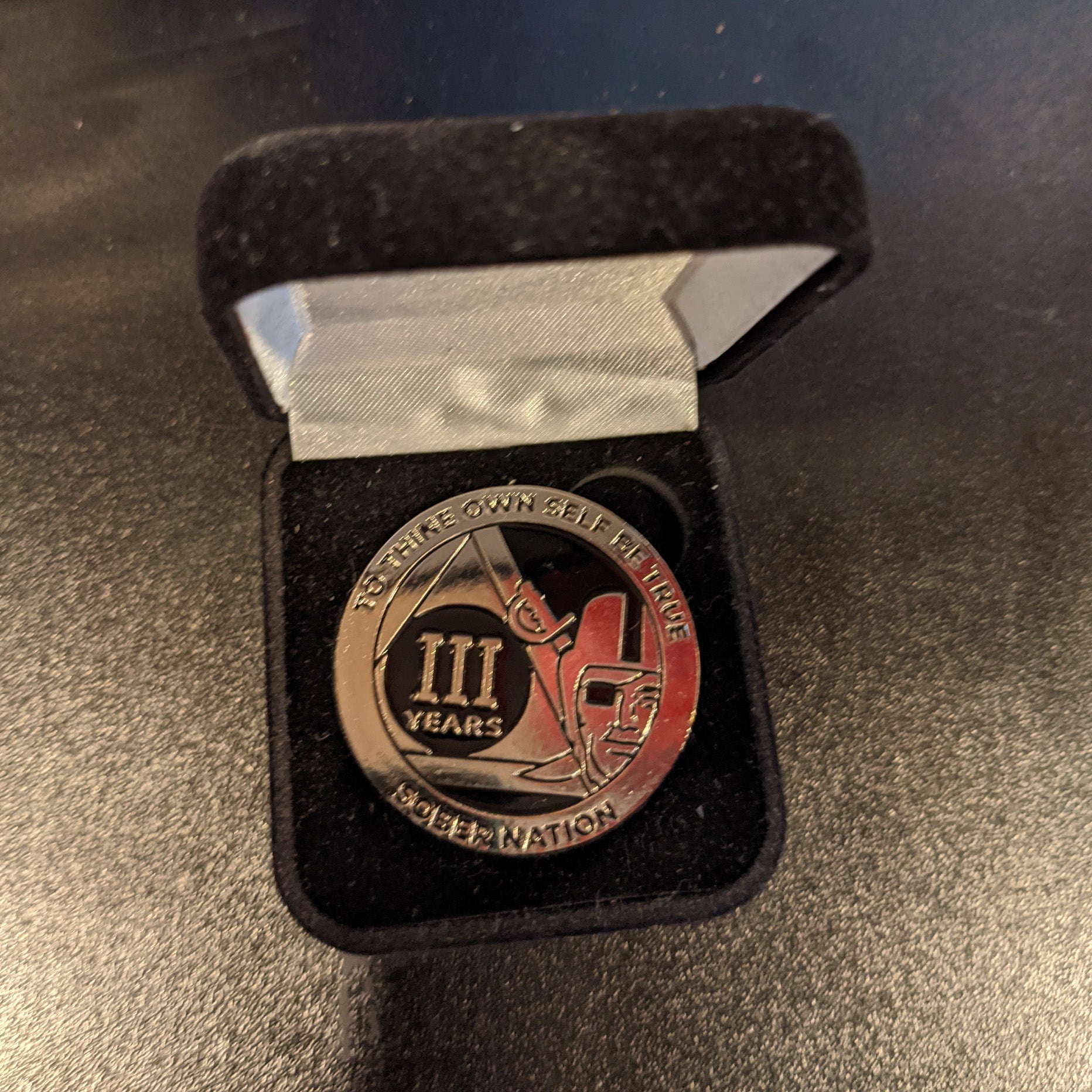Pirate Raider AA Coin 1-50yrs Sobriety Chip