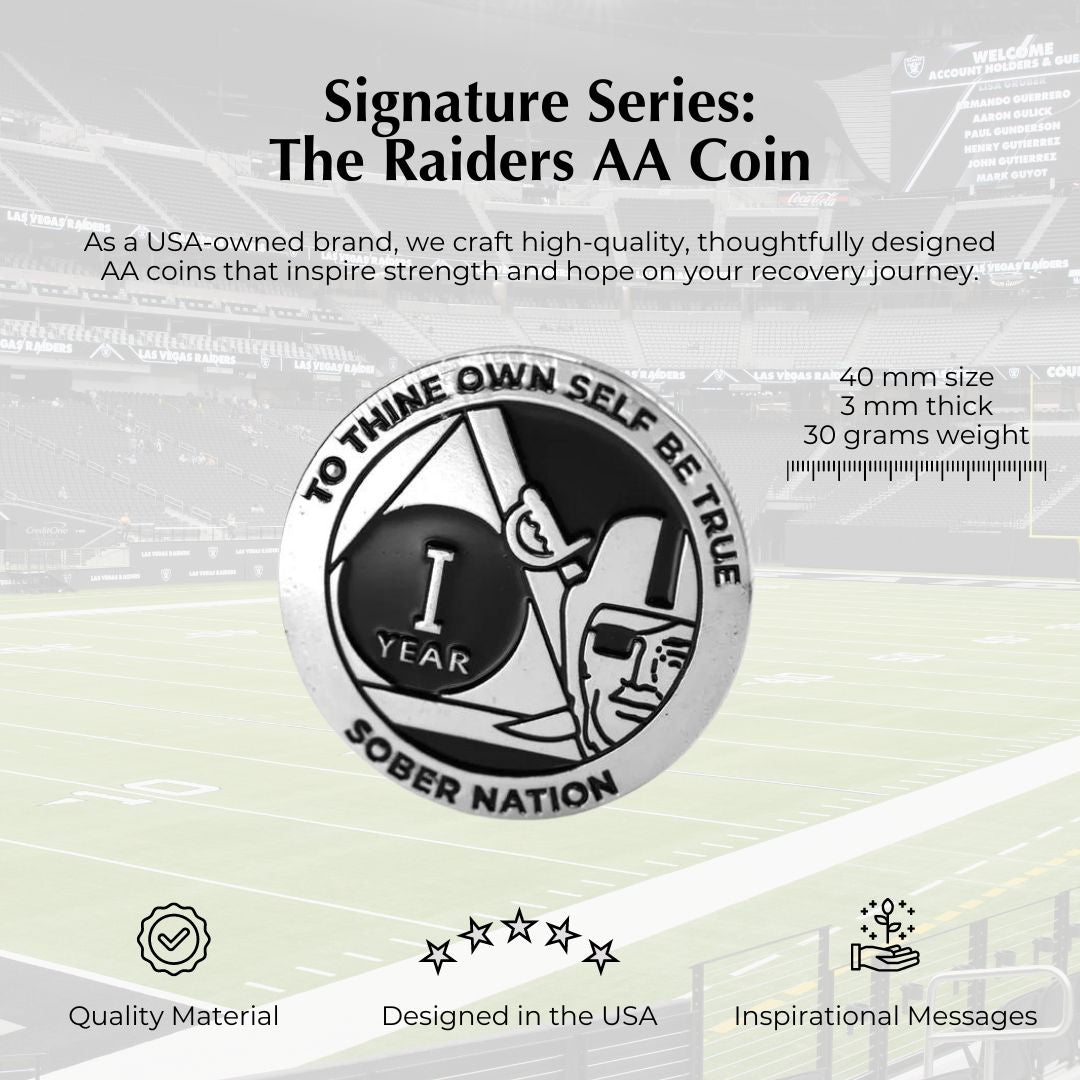Pirate Raider AA Coin 1-50yrs Sobriety Chip