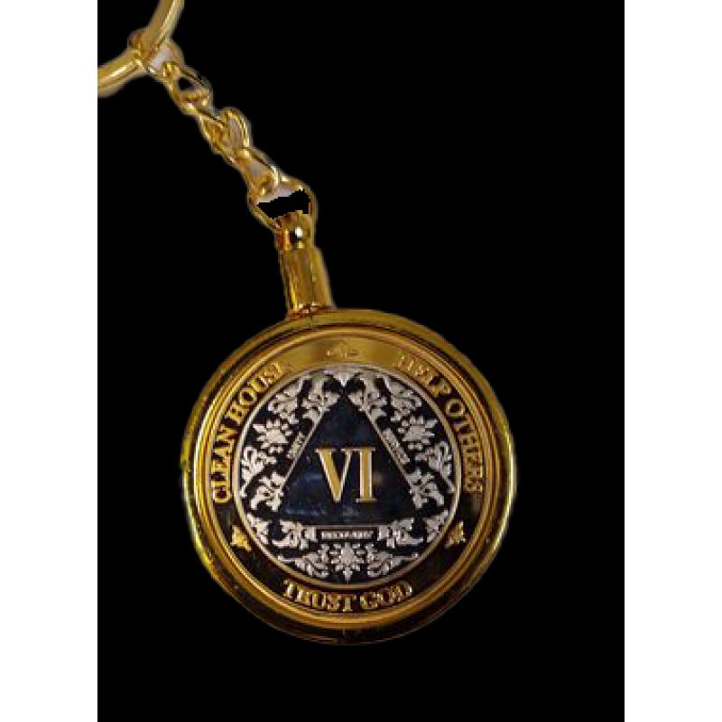 3-Pack AA Medallions: Select Your 3 Years, Silver & Gold Design
