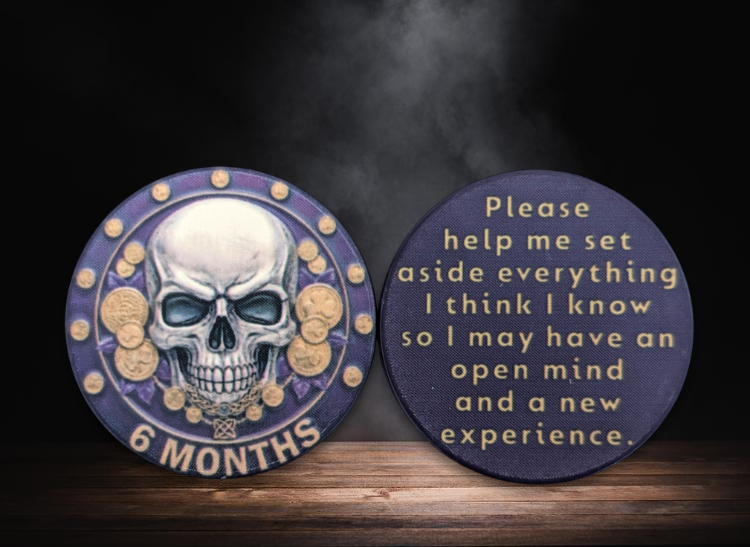 Skull-Themed AA Recovery Poker Chips – 1 Day to 1 Year Milestones + Custom Message Option