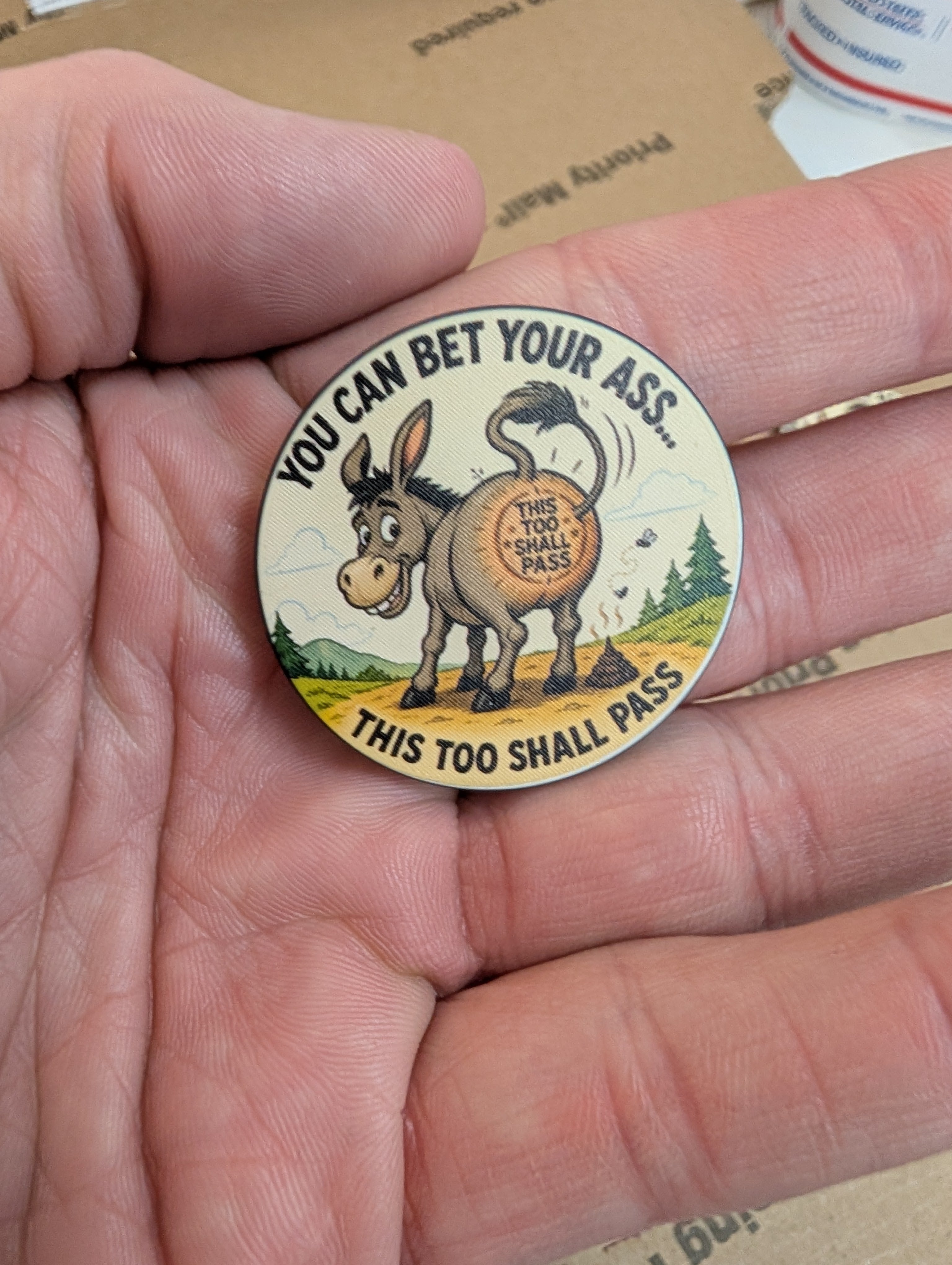 You Can Bet Your Ass... This Too Shall Pass Recovery Chip
