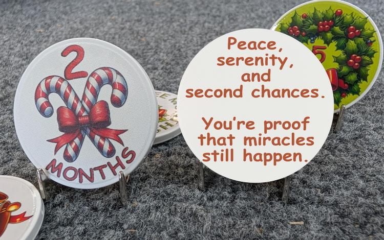 Christmas Monthly Milestone – Select Your Milestone | Unique Front & Back Designs