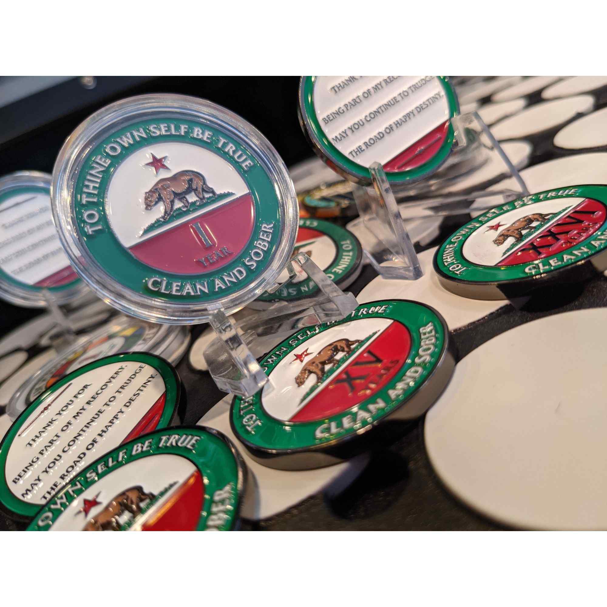 California AA Coin 1-50yrs Sobriety Chip