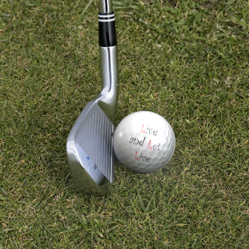 Recovery Themed Golf Balls (sleeve of 4)
