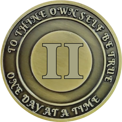 No Matter What Club AA Medallion 24hrs-60yrs Sobriety Chip W/ Gift Box