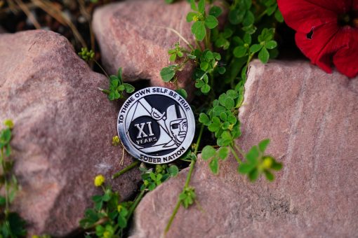 Pirate Raider AA Coin 1-50yrs Sobriety Chip