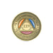 Tri Color Yearly Medallion