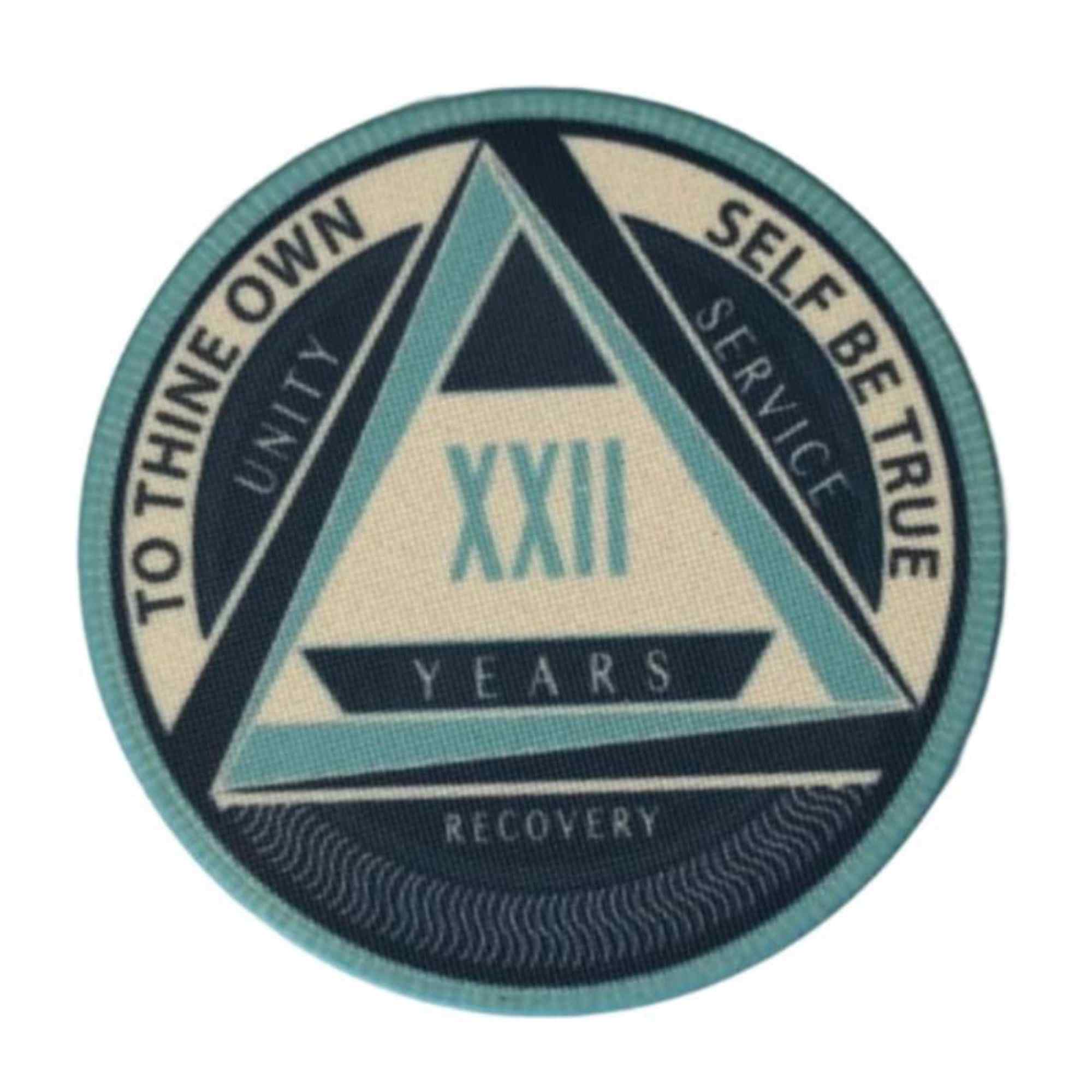 AA Yearly Poker Chip BLUE