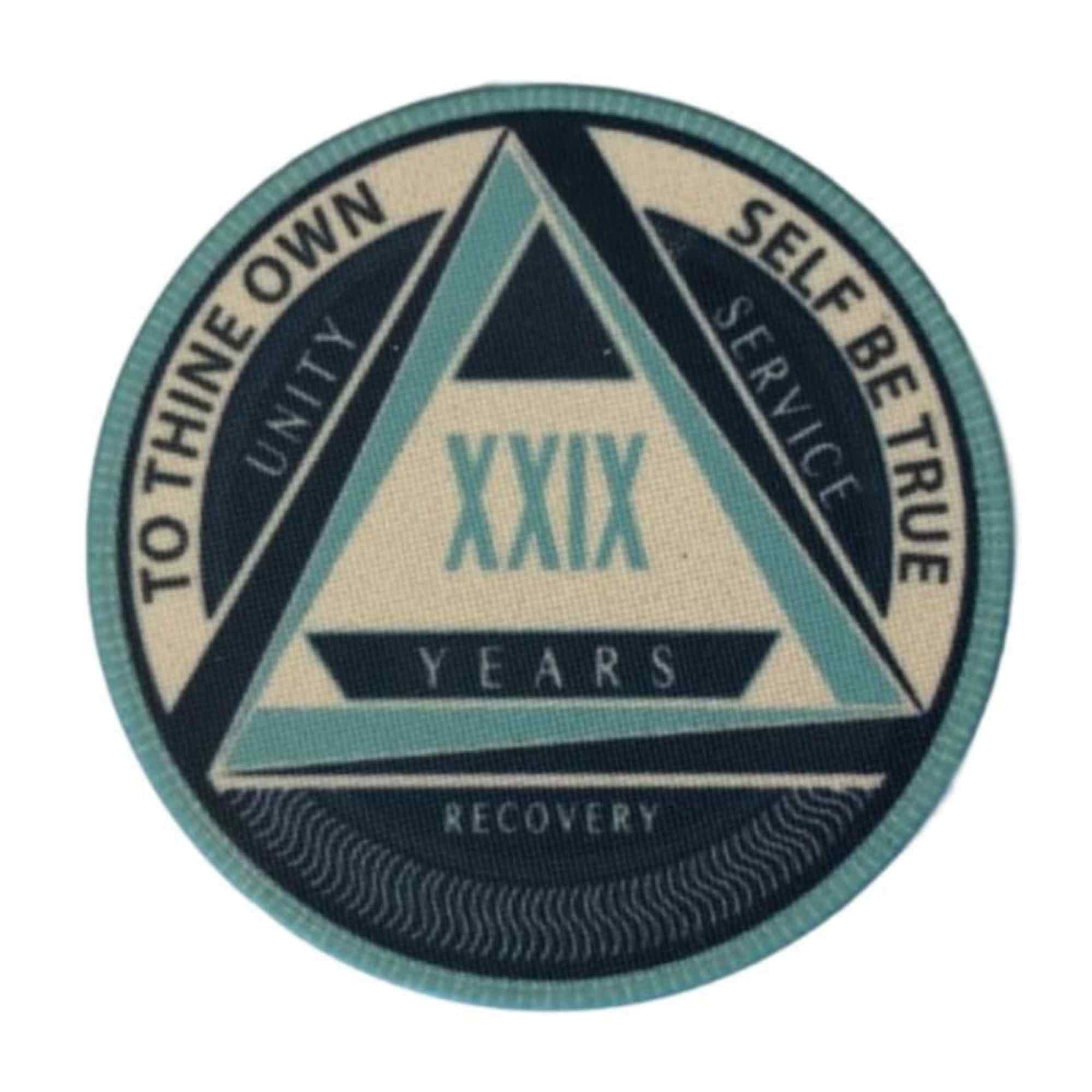 AA Yearly Poker Chip BLUE