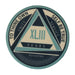 AA Yearly Poker Chip BLUE